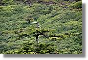 Galway_102.jpg