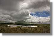 Galway_110.jpg