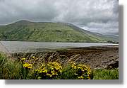 Galway_129.jpg