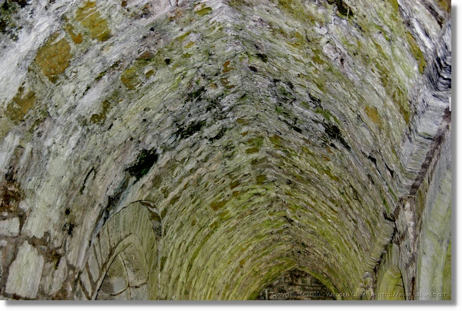Kerry_024.jpg
