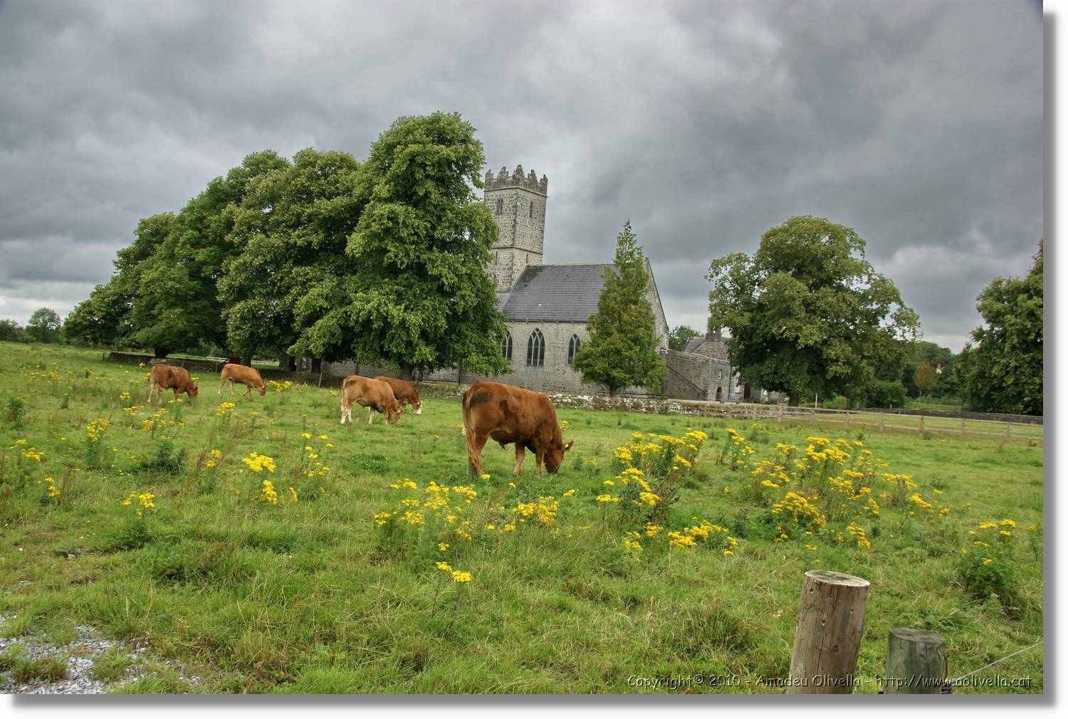 Kerry_028.jpg