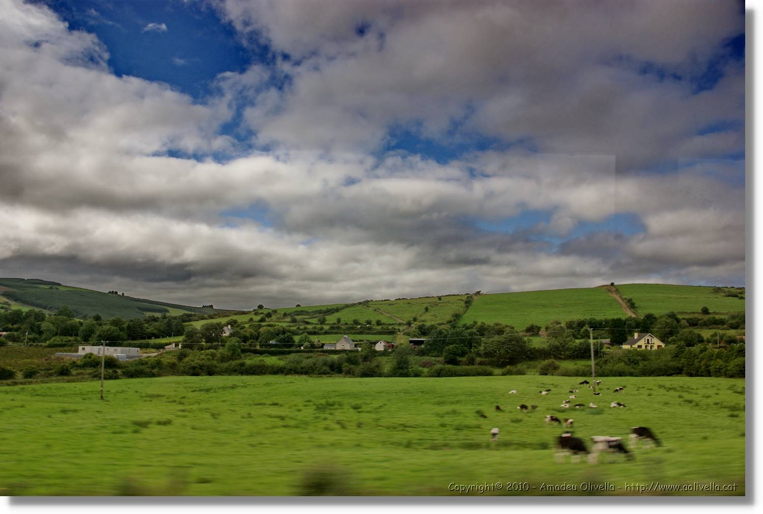 Kerry_029.jpg