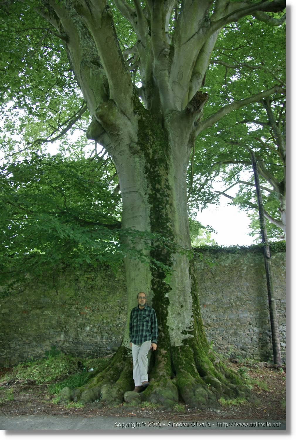 Kerry_046.jpg