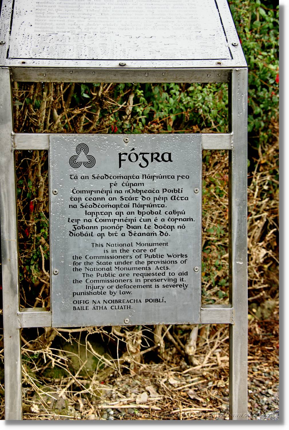 Kerry_098.jpg