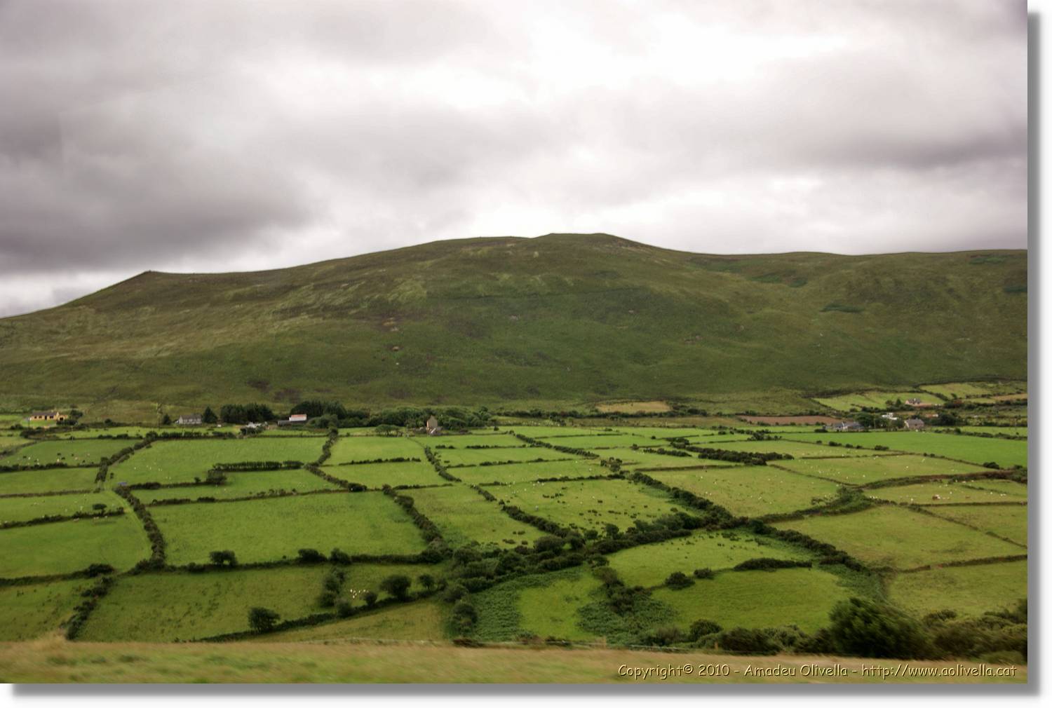 Kerry_128.jpg