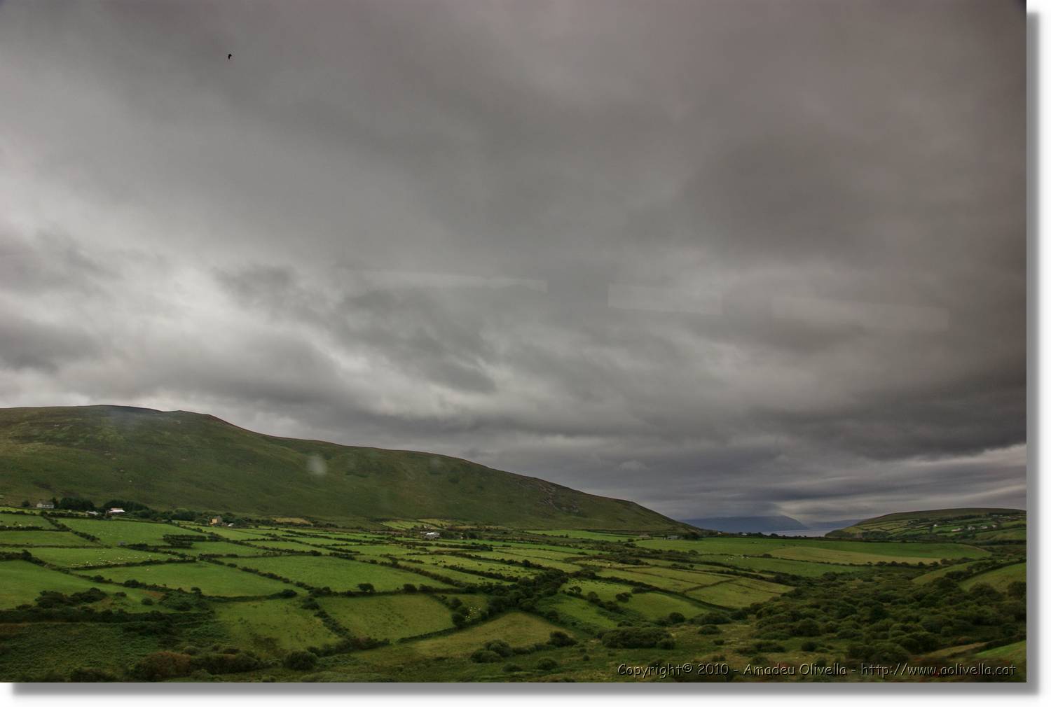Kerry_130.jpg