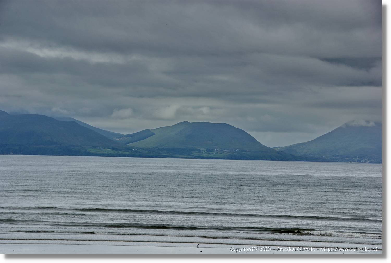 Kerry_139.jpg