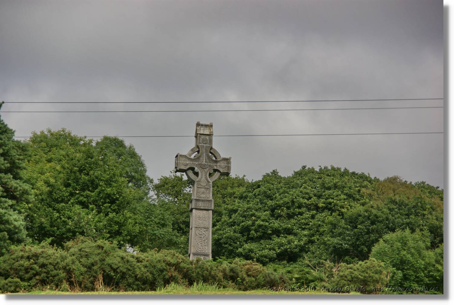 Kerry_199.jpg