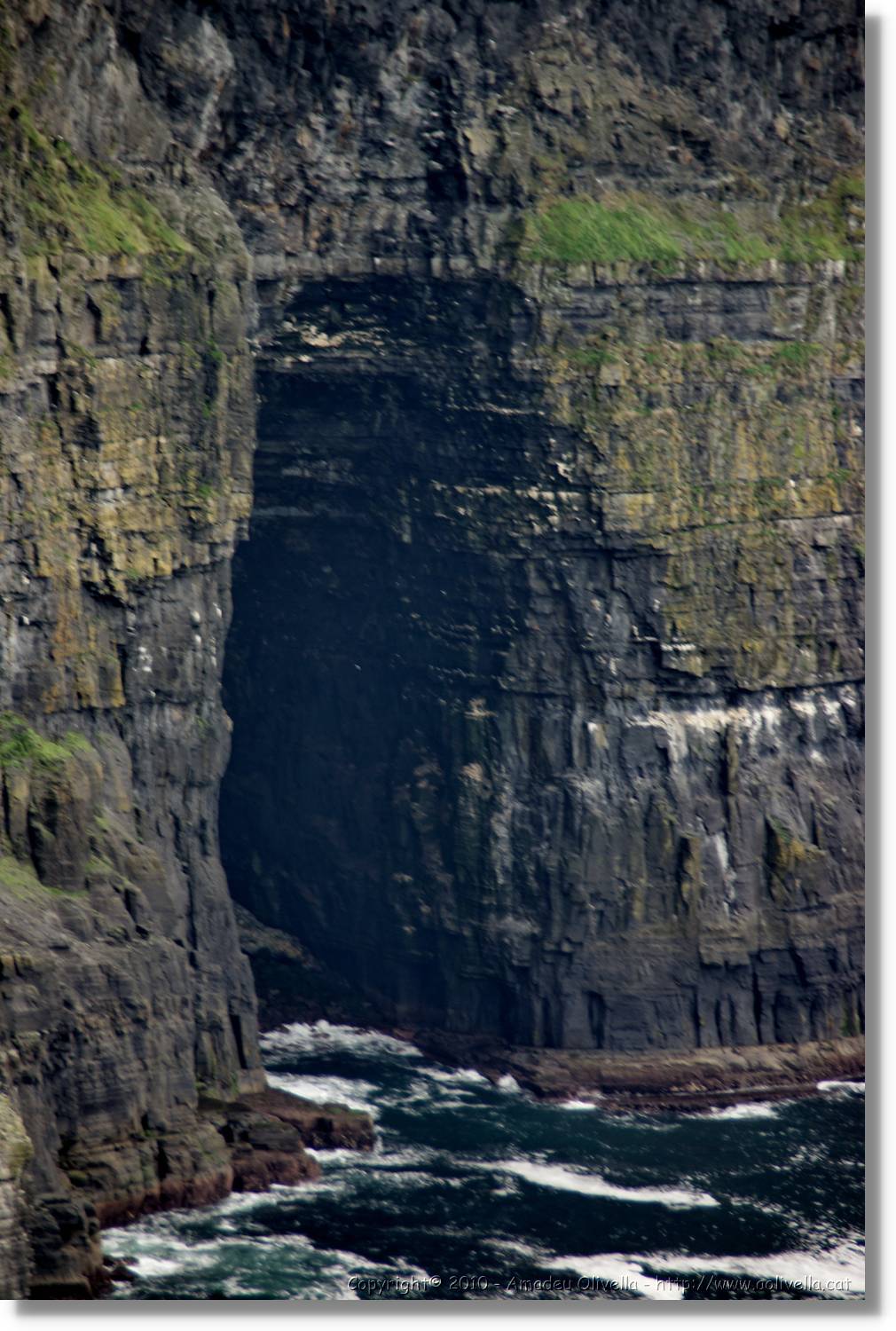 Kerry_310.jpg