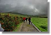 Kerry_086.jpg
