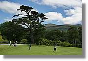 Kerry_182.jpg