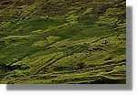 Nord_220.jpg