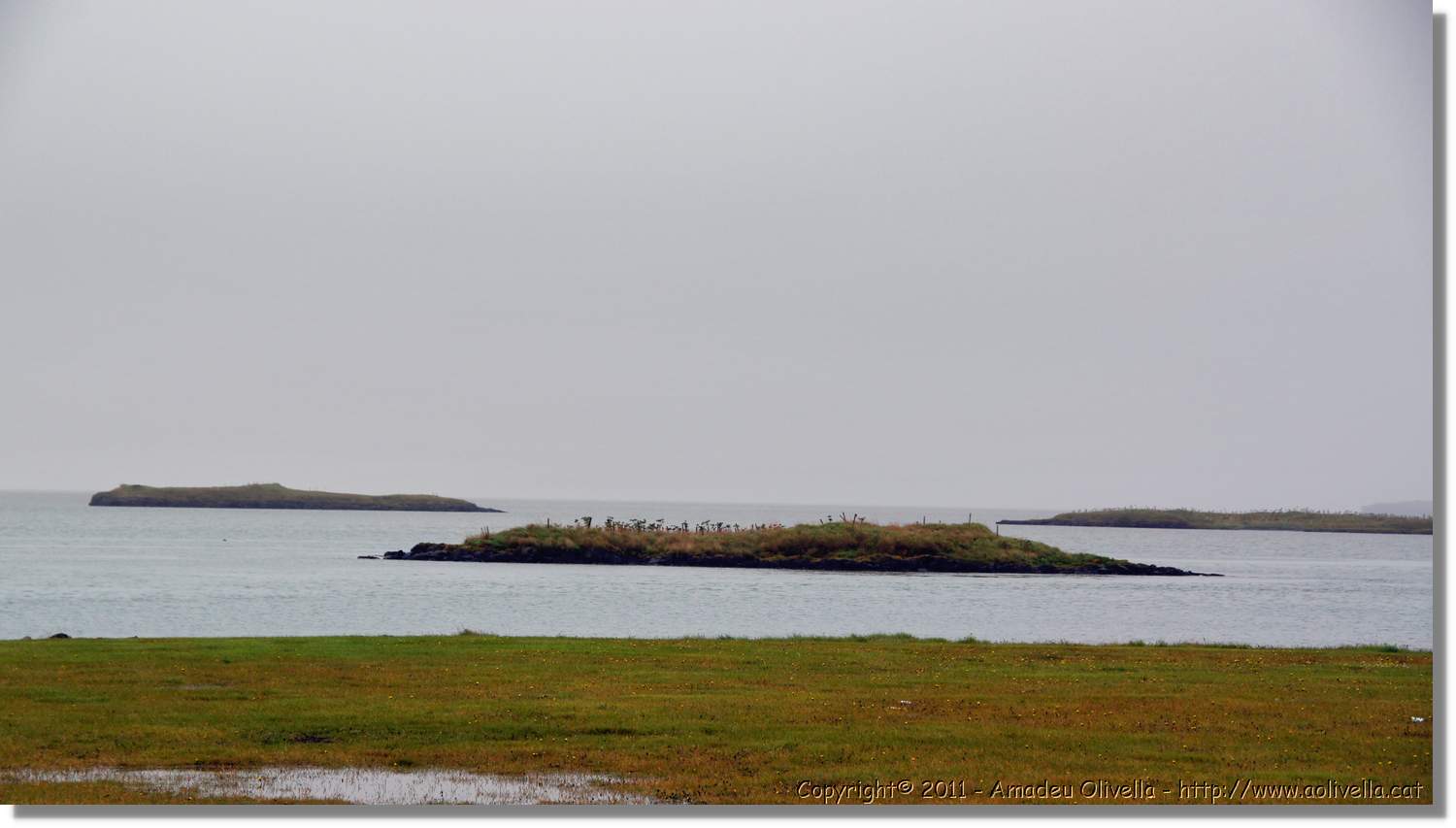 4-Islandia_077.jpg