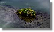 3-Islandia_224.jpg