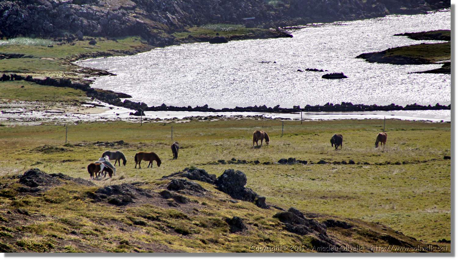 1-Islandia_136.jpg