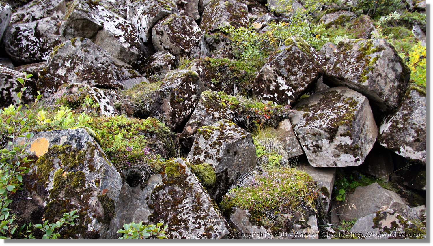 5-Islandia_068.jpg