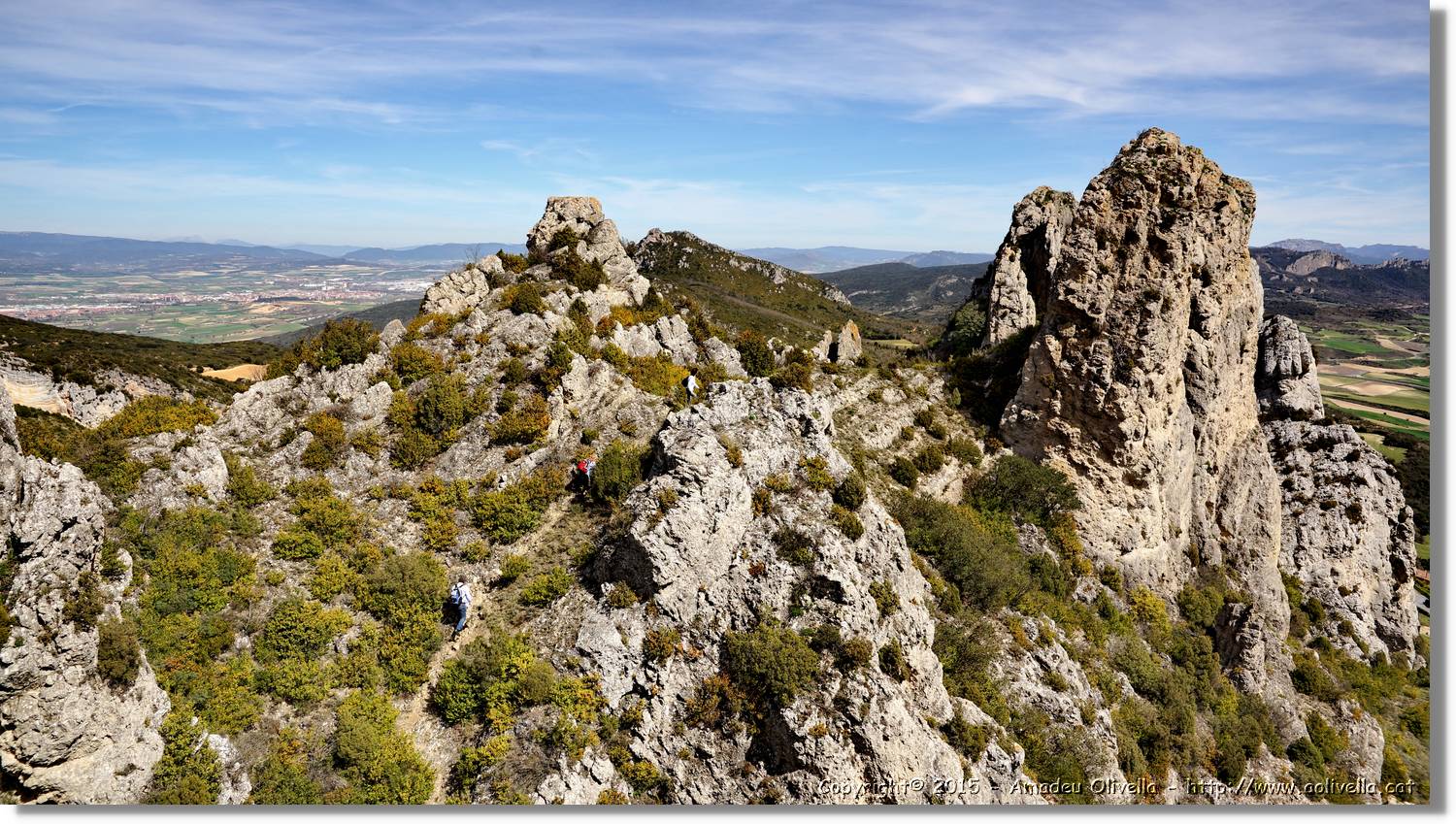 Cellorigo_030.jpg