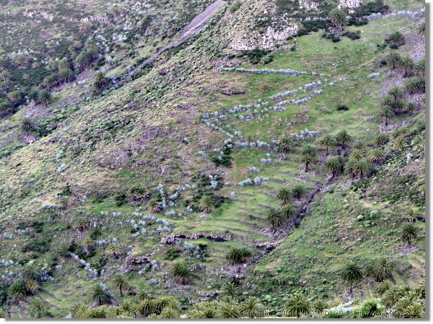 Gomera_030.jpg