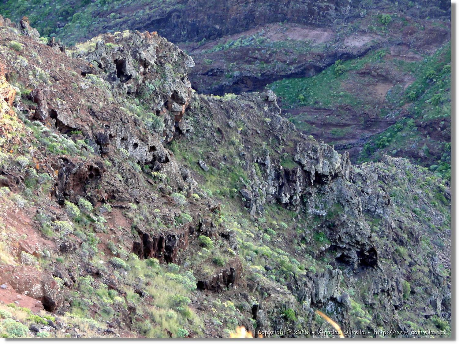 Gomera_036.jpg