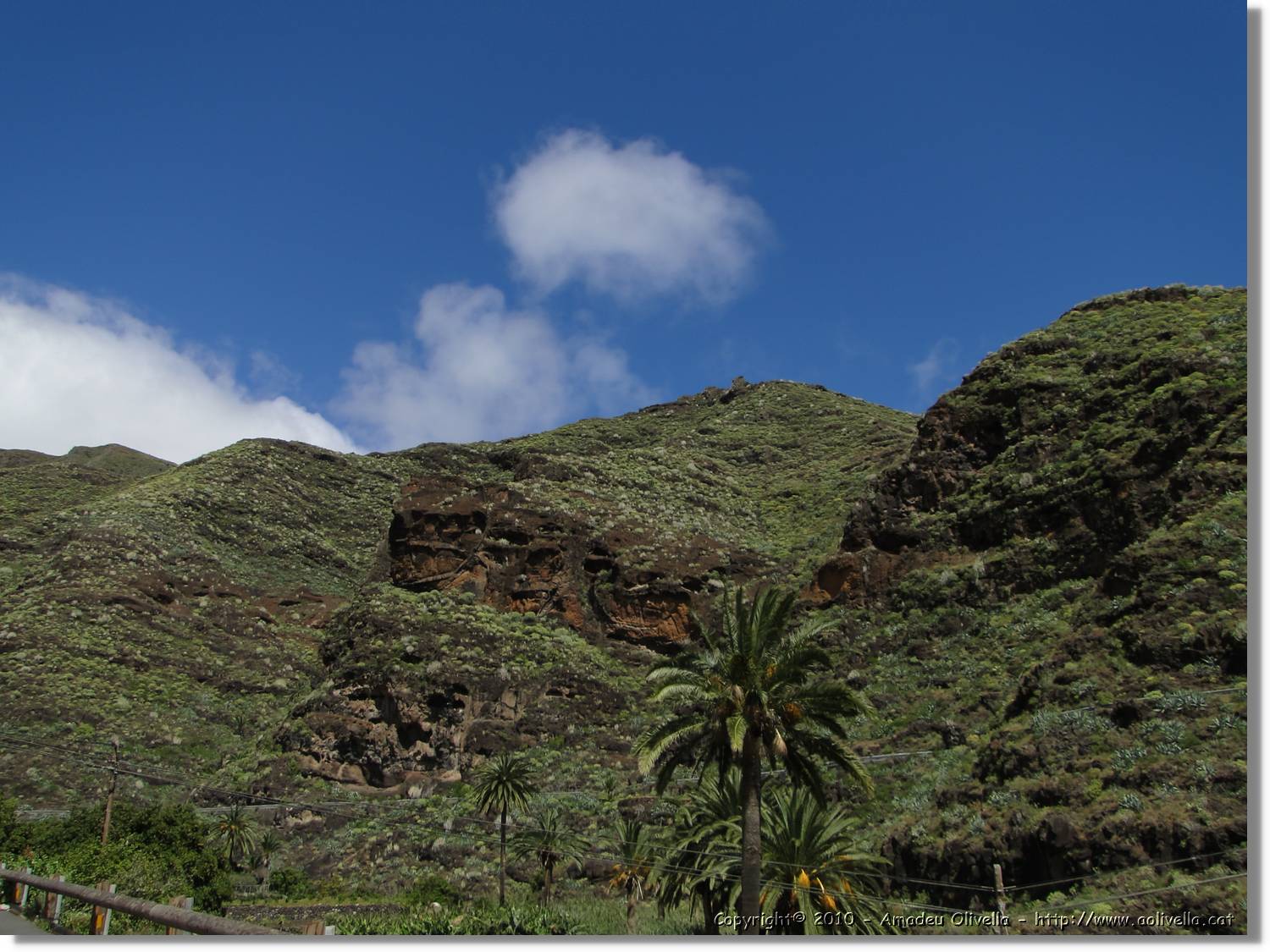 Gomera_057.jpg