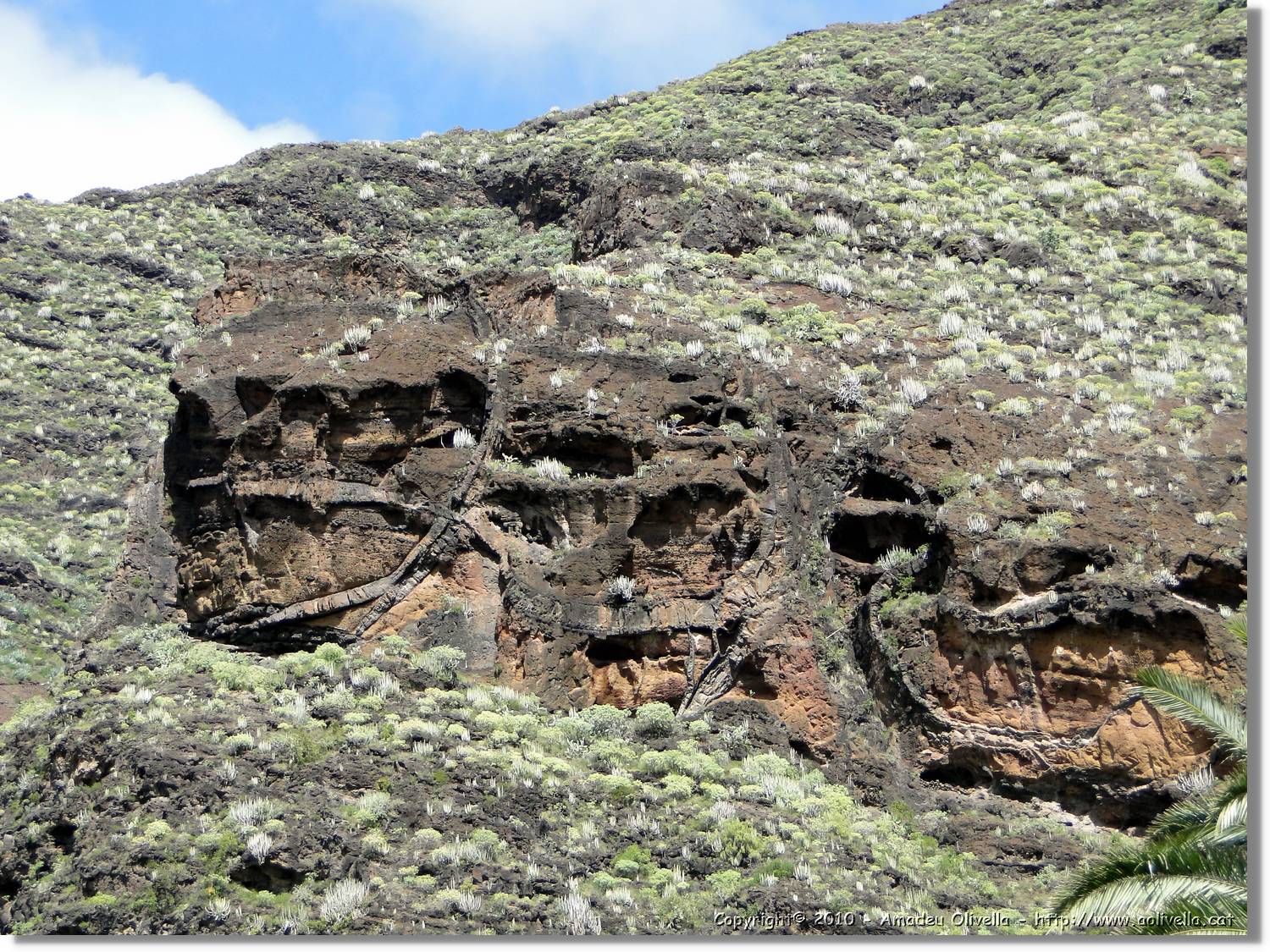 Gomera_058.jpg