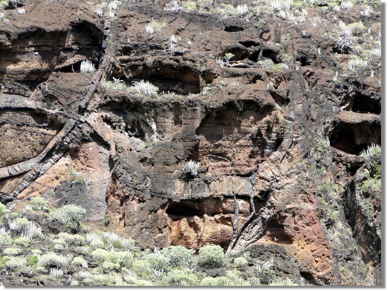 Gomera_060.jpg