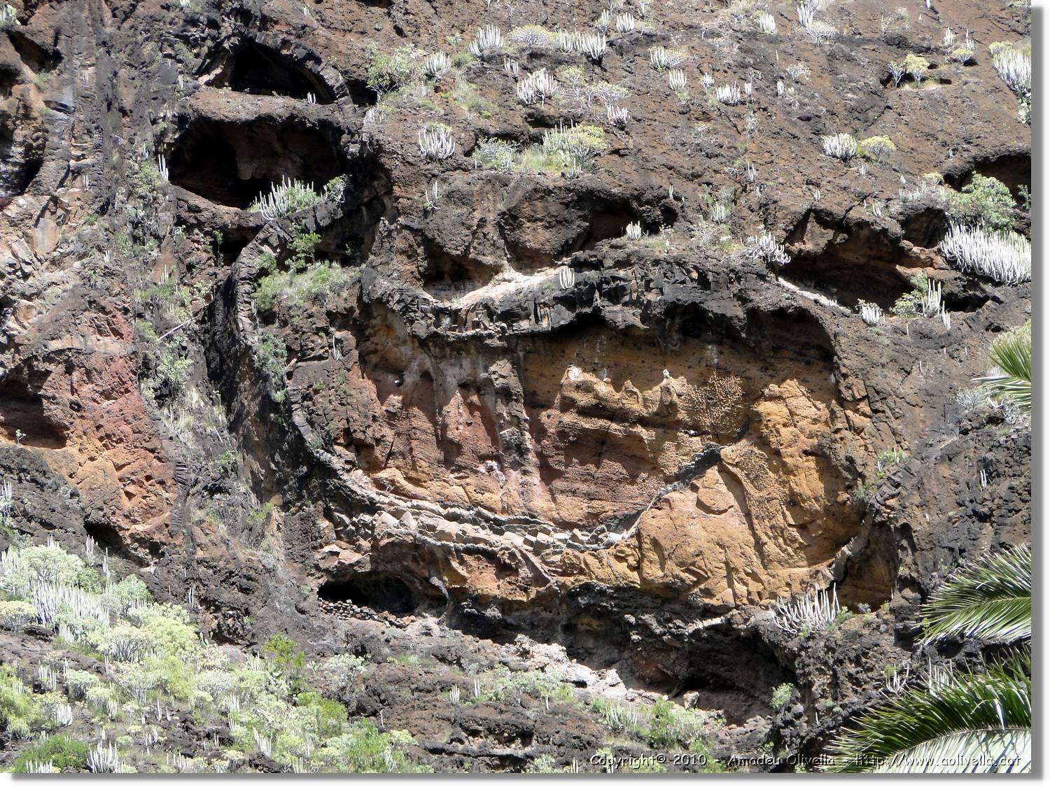 Gomera_061.jpg