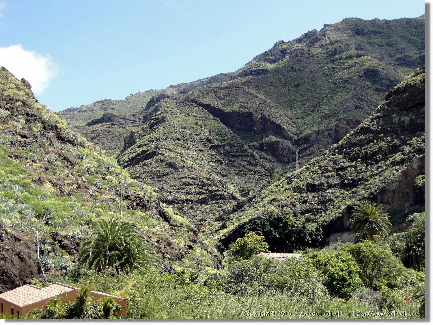 Gomera_062.jpg