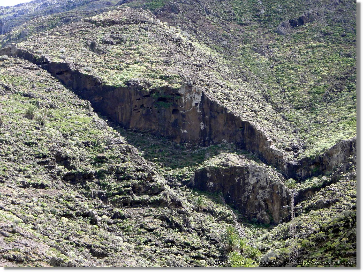 Gomera_063.jpg