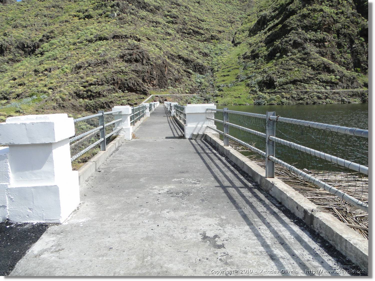 Gomera_064.jpg