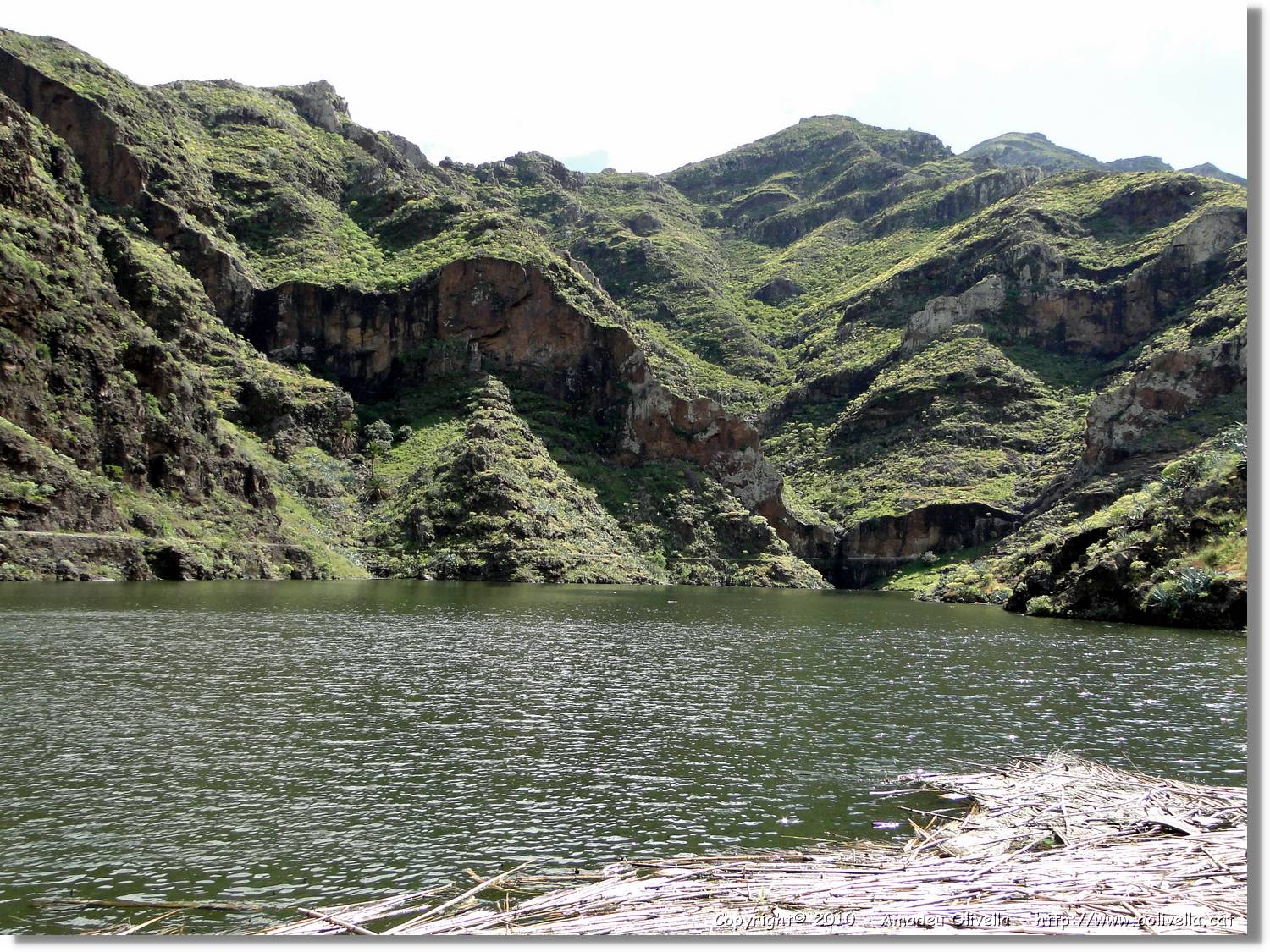 Gomera_065.jpg