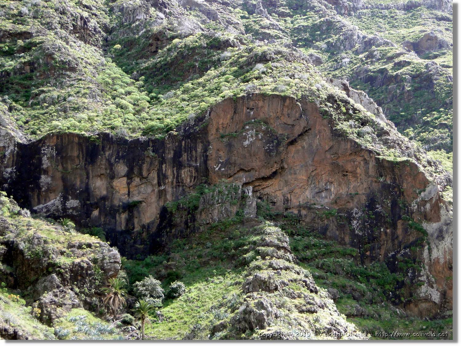 Gomera_066.jpg