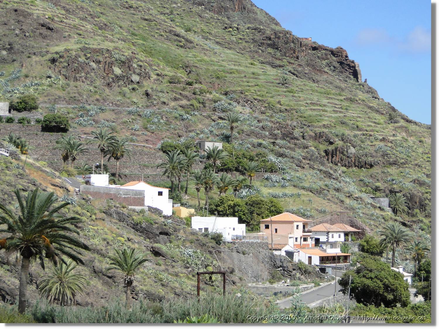 Gomera_075.jpg