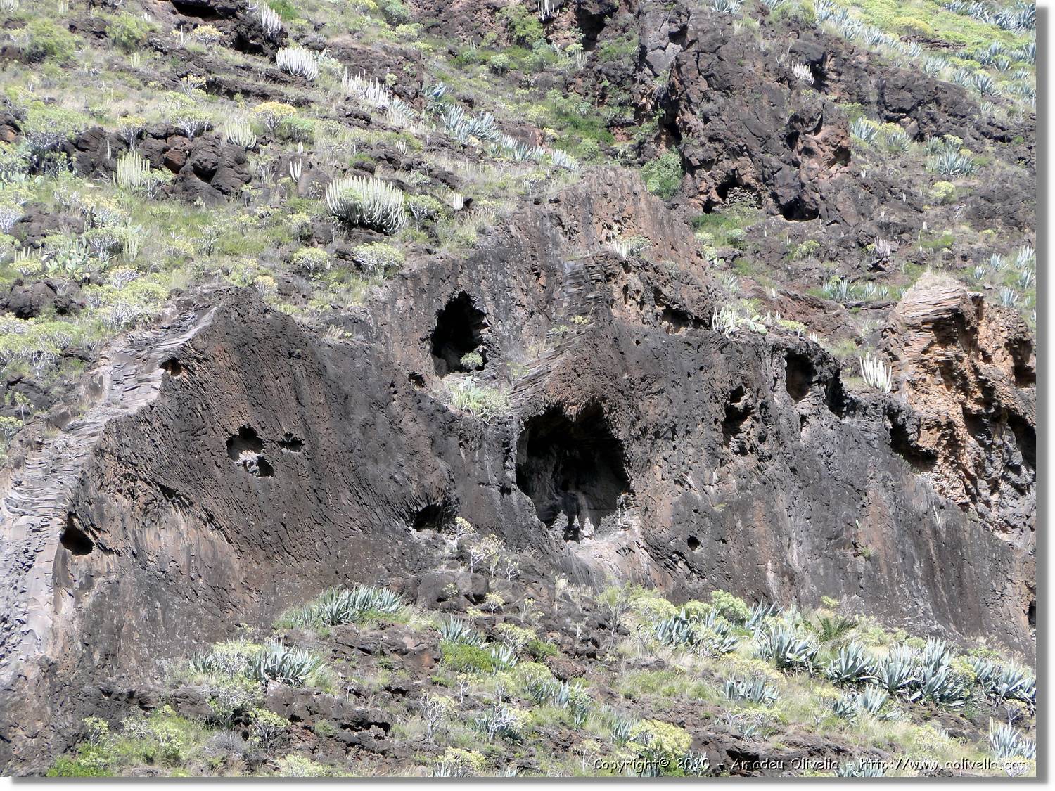 Gomera_076.jpg
