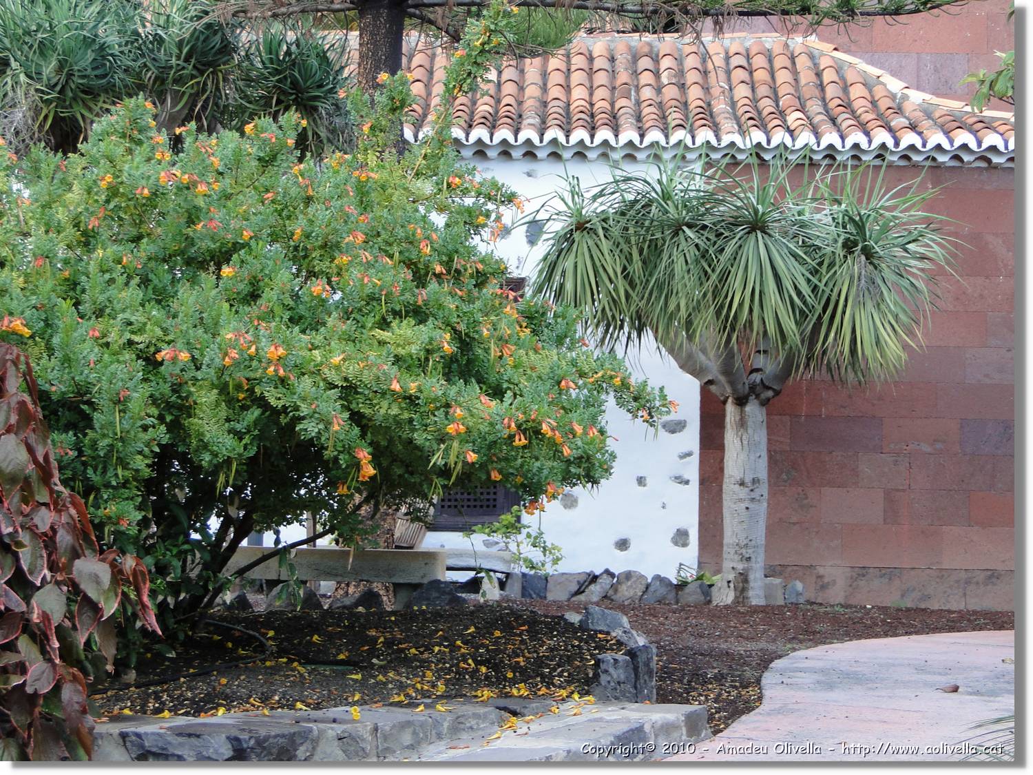 Gomera_098.jpg