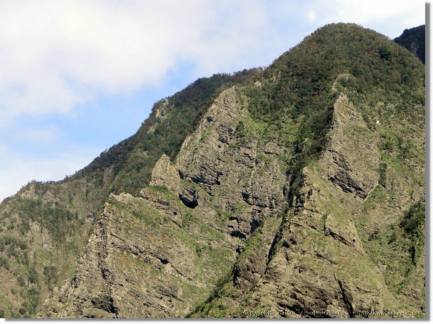 Gomera_138.jpg