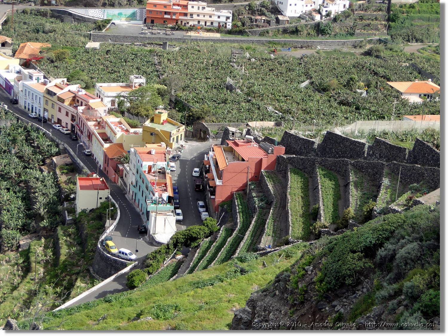 Gomera_156.jpg