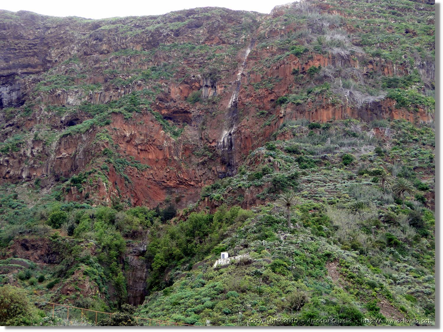 Gomera_162.jpg