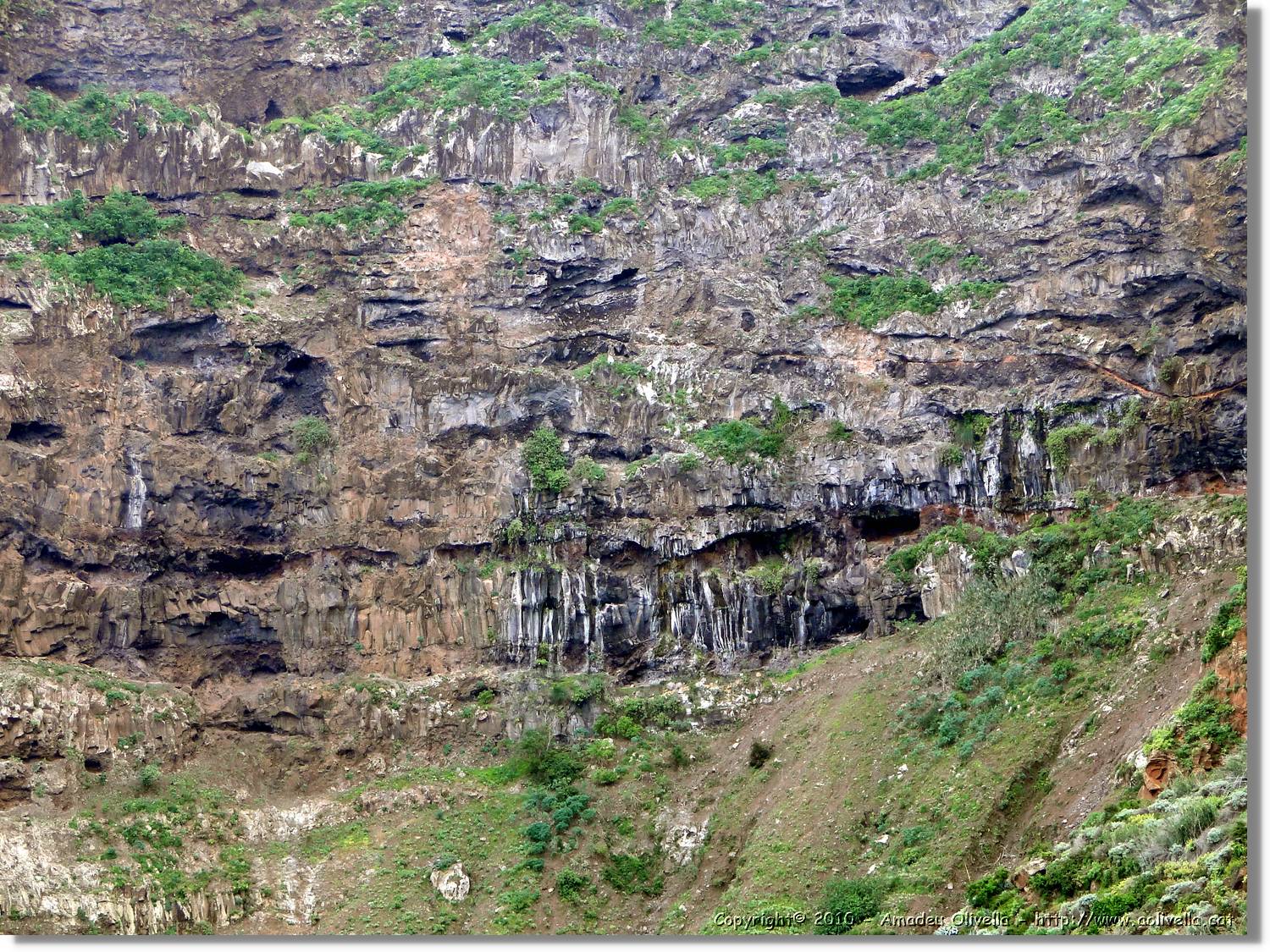 Gomera_166.jpg