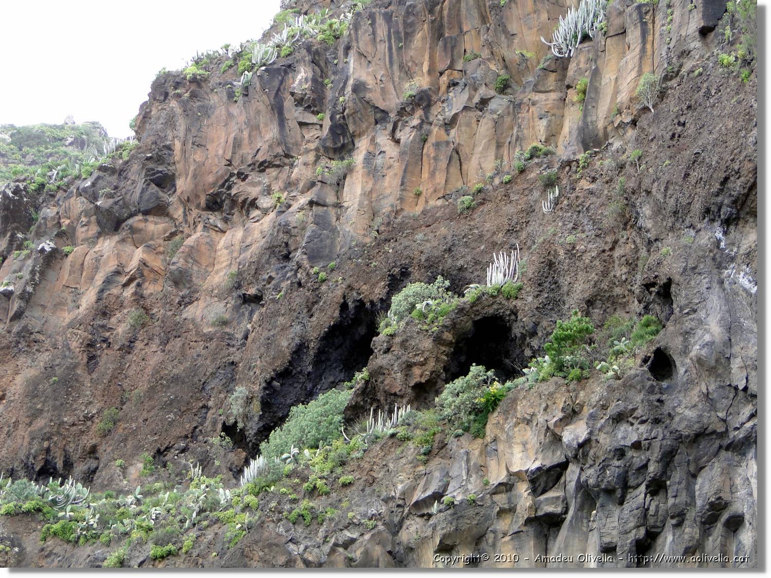 Gomera_169.jpg