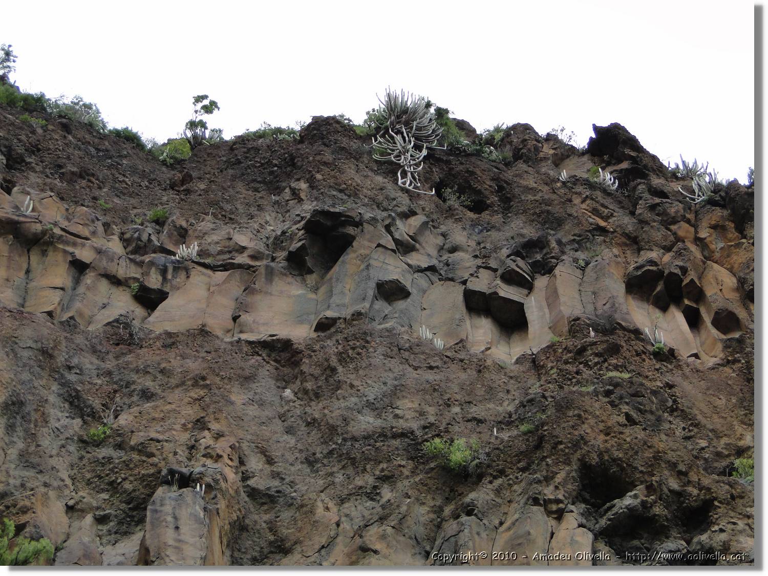 Gomera_173.jpg