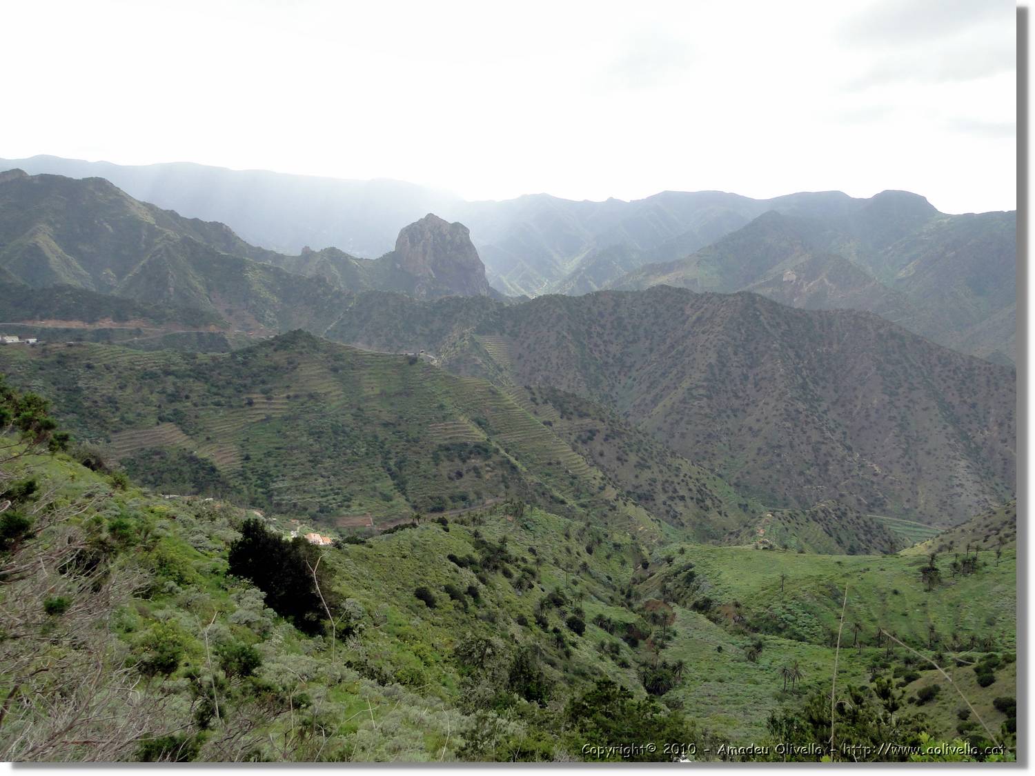 Gomera_176.jpg