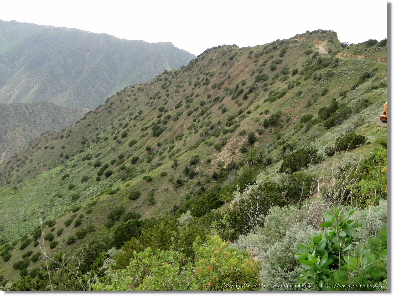 Gomera_179.jpg