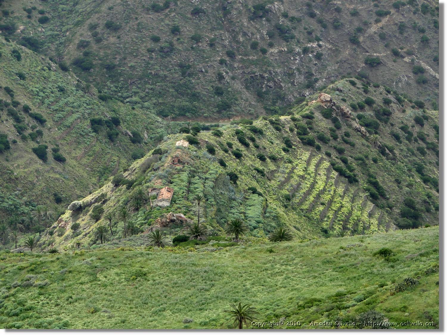 Gomera_180.jpg