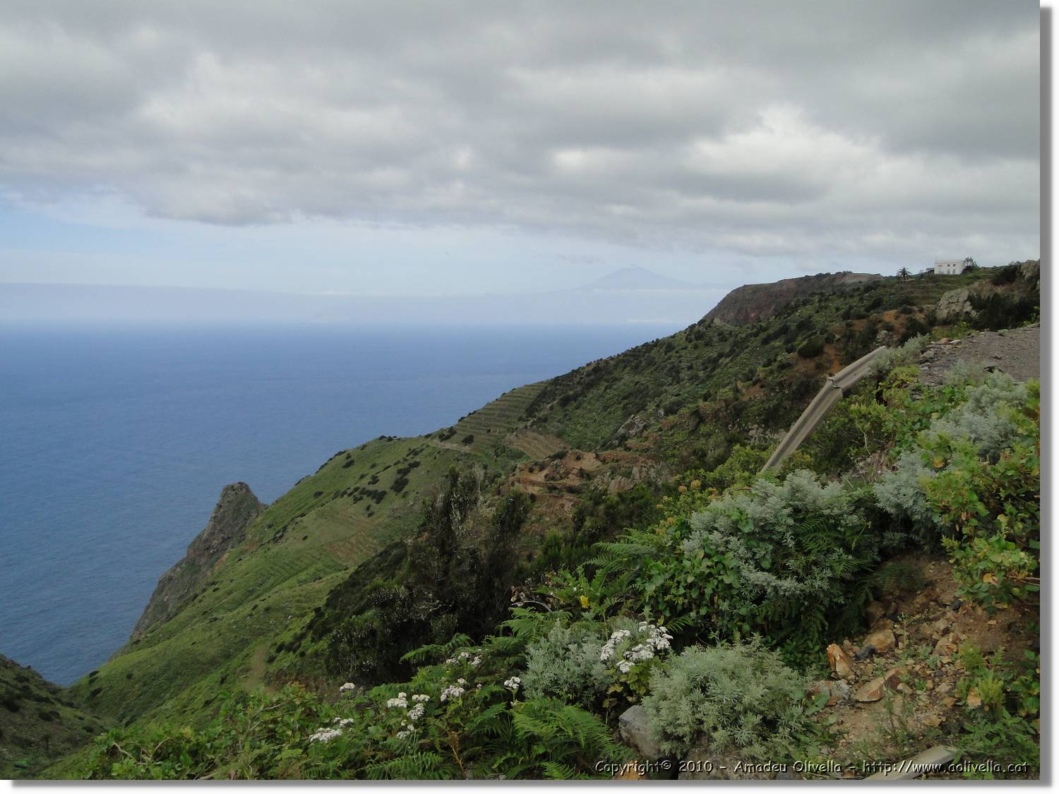 Gomera_181.jpg