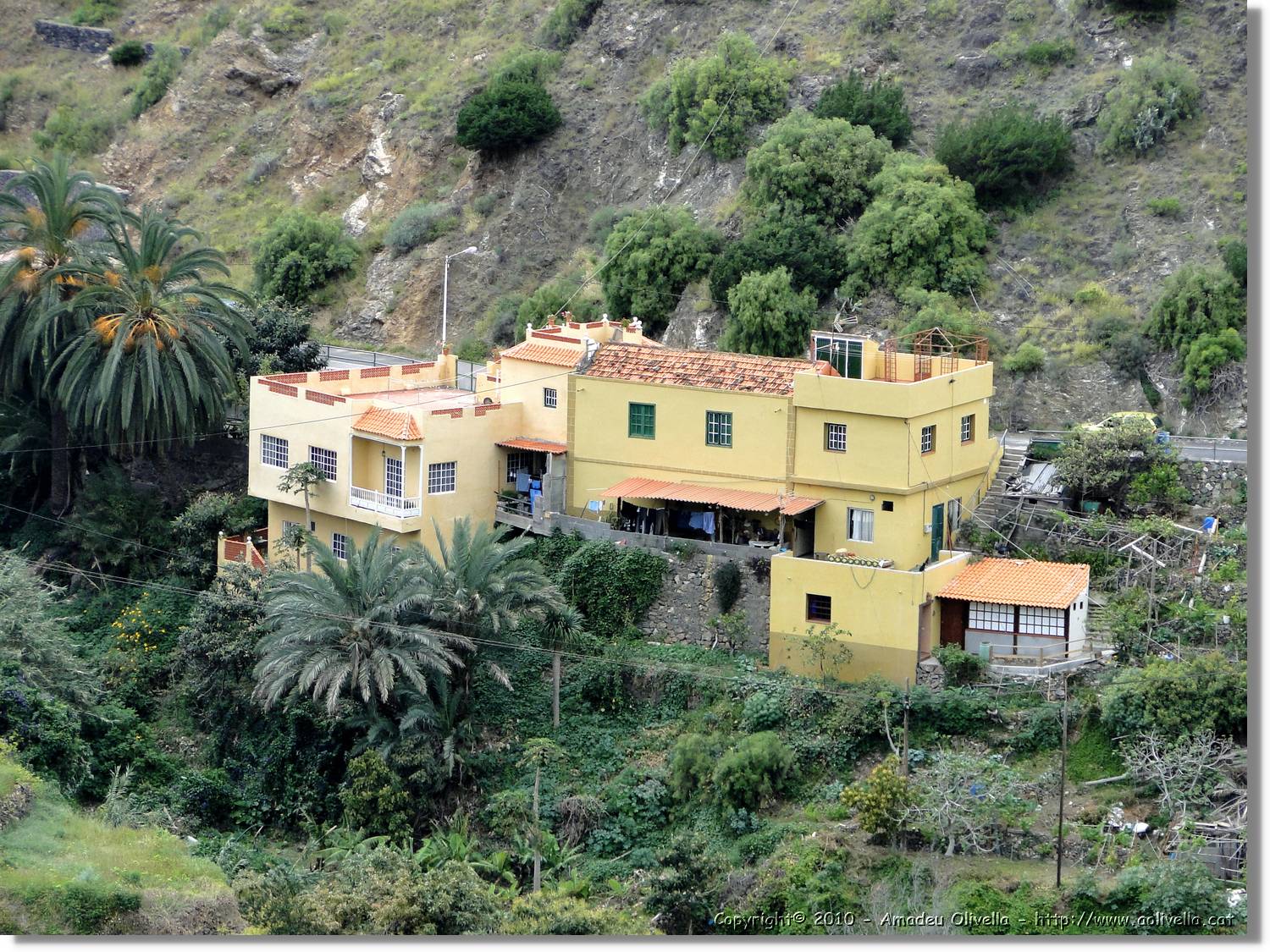 Gomera_196.jpg