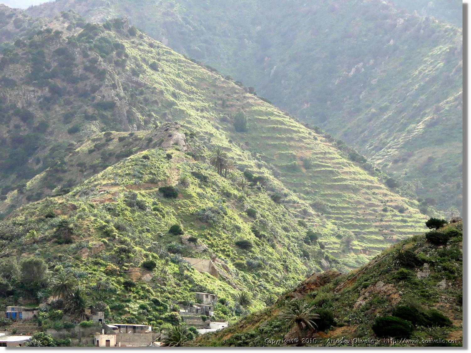 Gomera_199.jpg