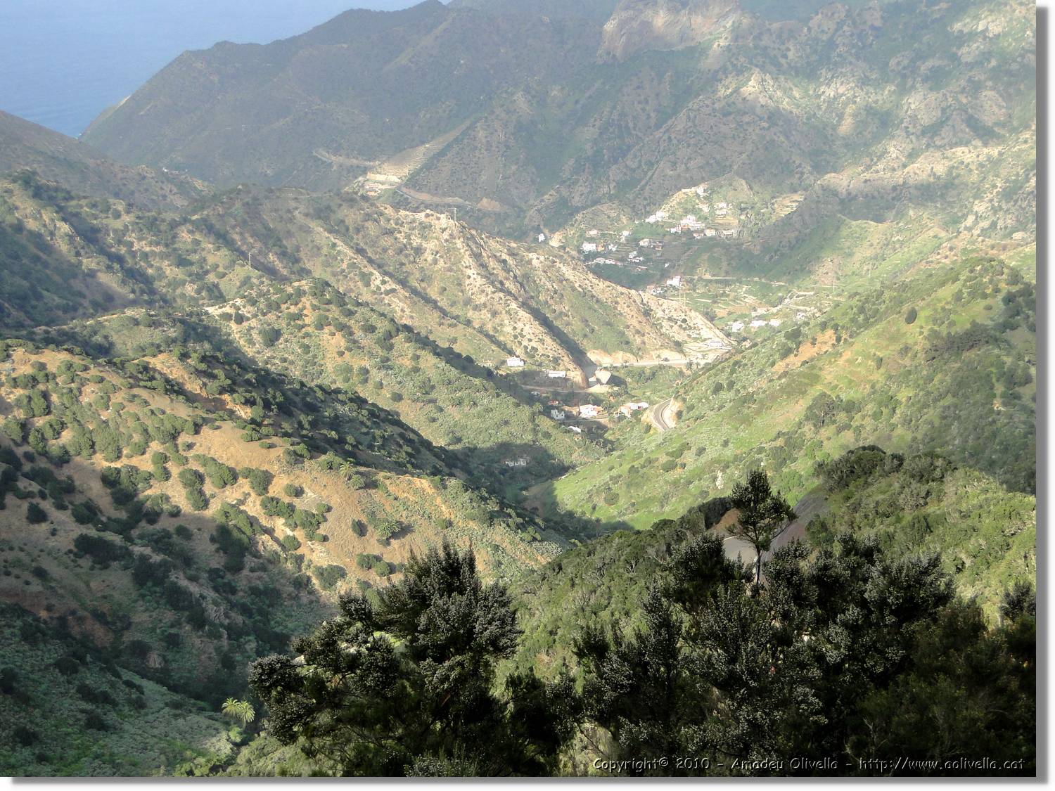Gomera_250.jpg