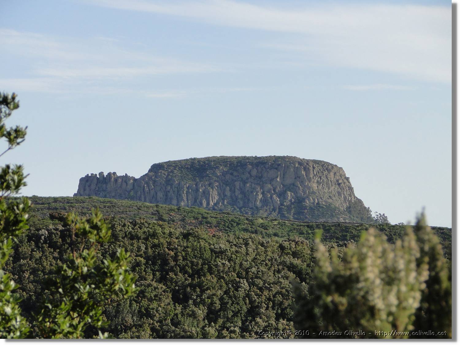 Gomera_283.jpg