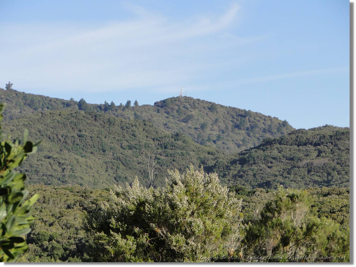 Gomera_284.jpg